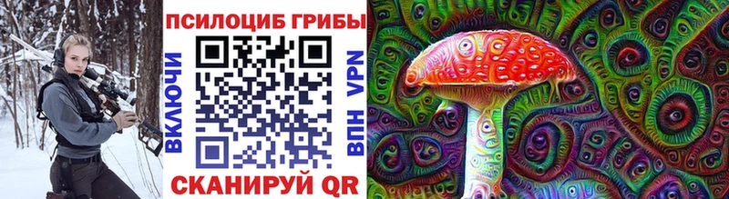 Галлюциногенные грибы Psilocybe  купить закладку  Новодвинск 